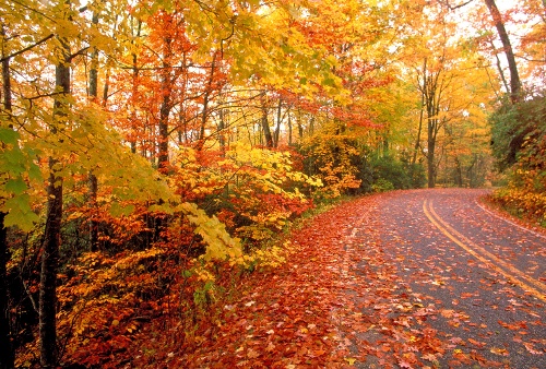 Kennebunkport-Maine-Fall-Foliage-Road-Trip
